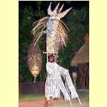 safari012.jpg